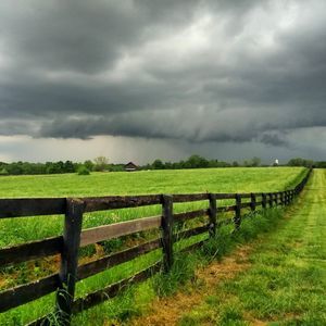 Meet your Posher, Russell